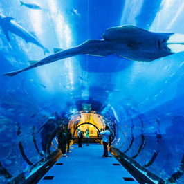 Dubai Aquarium Tickets On Site