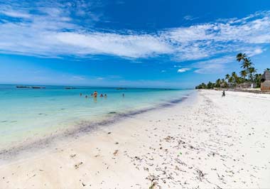 Tanzania visa processing time