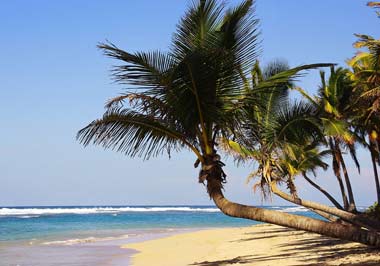 Tourist visa Punta Cana