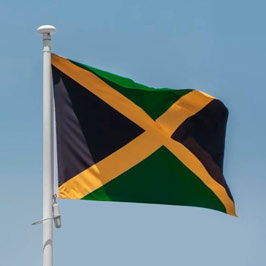 Jamaica entry form online