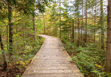 What to do in Haliburton
