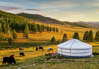 Is a visa required for Mongolia?